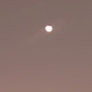 Meet your Posher, Yasmin